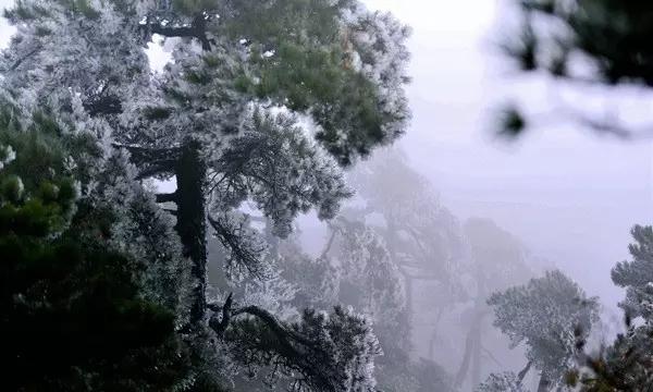 被80岁赵淑珍老年状态惊艳:脸得圆、衣要艳、发烫卷,老了才贵气